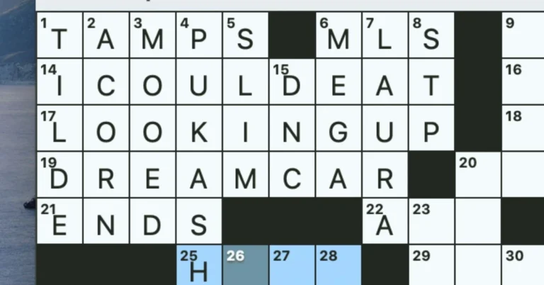 Used as a Campaign Talking Point NYT Crossword